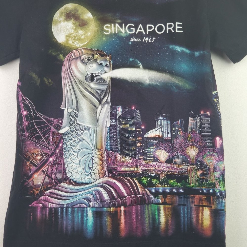 Discover Singapore City Scape Two-Sided T-Shirt Sz Small - Picture 3 of 5